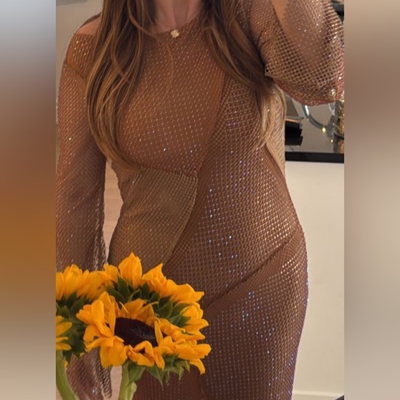 ASOS Elegant Fishnet Hotfix Long Sleeve Dress NWT! - Picture 5 of 5